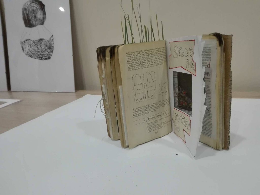 21585811_677184849146457_201385268_o