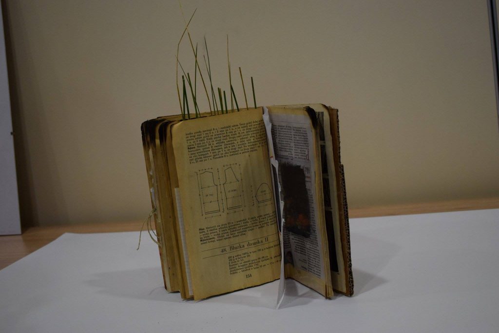 21618366_1367549883363115_1346443342_o